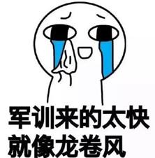 大學(xué)軍訓(xùn)曬黑.