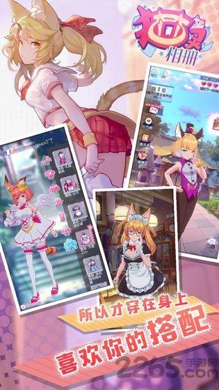 貓靈相冊測試版手游下載,美少女手游,收集手游,貓靈相冊